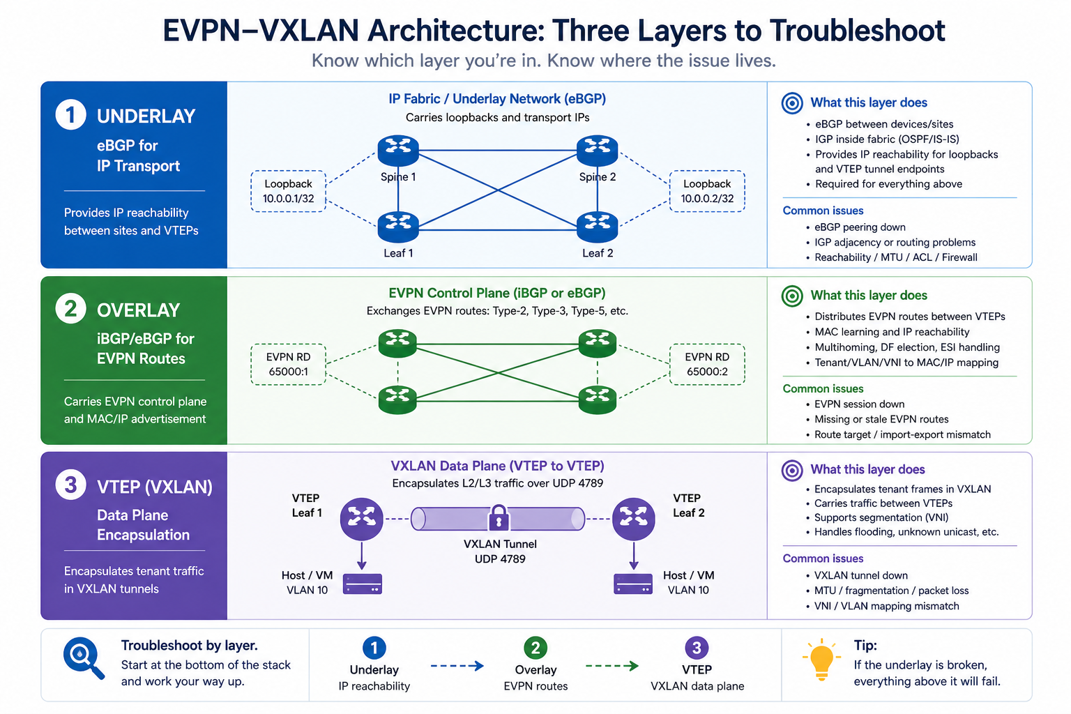 EVPN-VXLAN architecture showing underlay BGP, overlay EVPN, and the VTEP layer